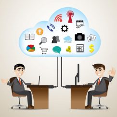 Professional WordPress Development